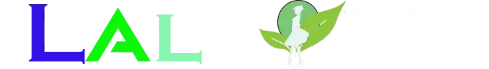 LALA33 | Best Online Gaming in Indonesia with the Highest RTP